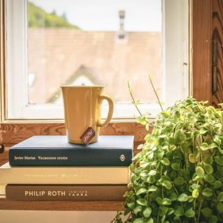 “Bellezze alla finestra”: raccontateci quello che vedete ogni giorno inviando una foto per il nostro contest “Bellezze alla finestra”: raccontateci quello che vedete ogni giorno inviando una foto per il nostro contest