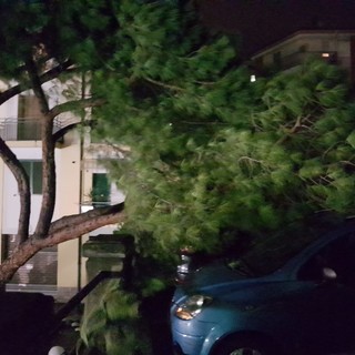 Danni da maltempo: ecco come chiedere i risarcimenti