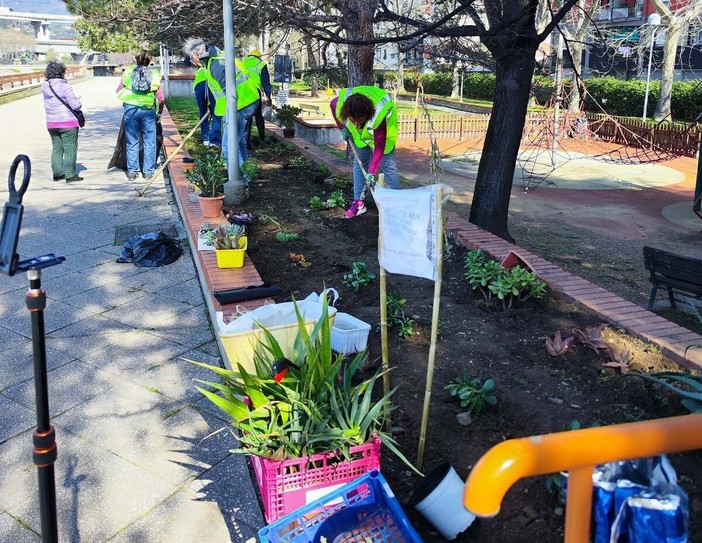 Savona, i volontari del Comitato Villapiana La Rusca al lavoro per abbellire le aiuole alle Trincee