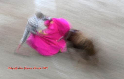 Sotto il cielo di Carcare