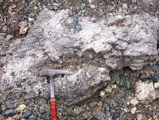 A Sassello domenica giornata dedicata alla Terra A Sassello domenica giornata dedicata alla Terra