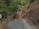 Crollo via San Nazario a Savona, pronta a partire la pulizia vegetazione e la creazione piste d'accesso per eseguire sondaggi Crollo via San Nazario a Savona, pronta a partire la pulizia vegetazione e la creazione piste d'accesso per eseguire sondaggi
