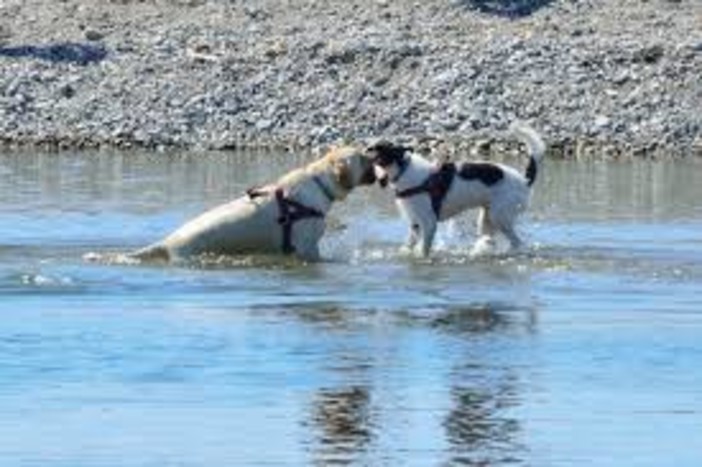 Foto d'archivio Foto d'archivio