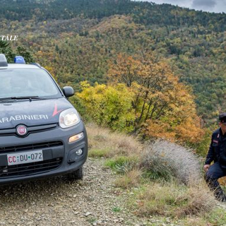 Fungaiolo muore nei boschi tra Bormida e Osiglia: intervento dei carabinieri forestali Fungaiolo muore nei boschi tra Bormida e Osiglia: intervento dei carabinieri forestali