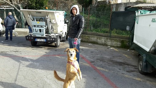 "Esodo" a due e quattro zampe verso il nuovo canile di Finale, Cinzia Amato:"Risultato ottenuto grazie all'aiuto dei nostri sostenitori"