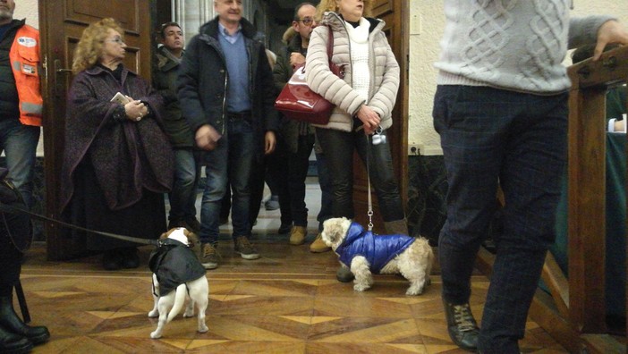 Savona, i cani conquistano il Consiglio comunale. M5S: "Faremo ricorso al Tar"