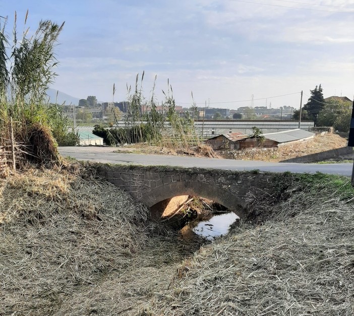 Albenga, pulizia del rio Carenda. Il vice sindaco Passino: "Intervenuti anche su tratti a monte"