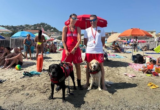 Bimbo di 5 anni si perde in spiaggia ad Albissola: in aiuto per le ricerche i cani da salvataggio Kiwi e Asia