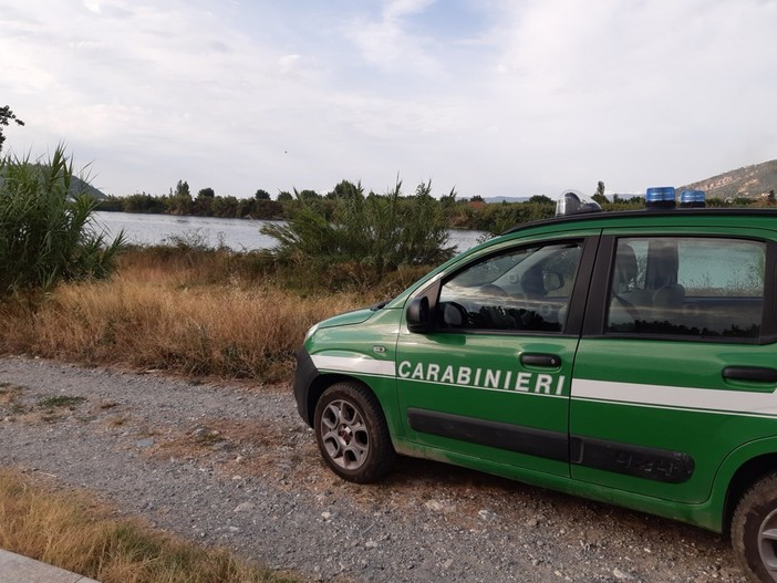 Immagine di repertorio