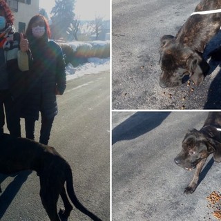 Cane soccorso a Calizzano, i complimenti dell'Accademia Kronos