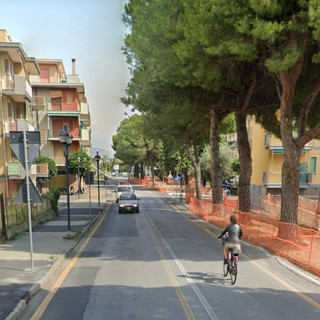 Borghetto, pista ciclopedonale e pini da abbattere: OSA e PAI chiedono il rinvio dei lavori in corso Raffaello per tutelare la fauna nidificante