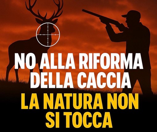 Il PAI e l’OSA contro la riforma della caccia: “Un attacco senza precedenti alla fauna selvatica" Il PAI e l’OSA contro la riforma della caccia: “Un attacco senza precedenti alla fauna selvatica"