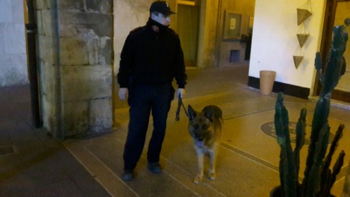 Spaccio nelle scuole, arrestato uno studente a Savona