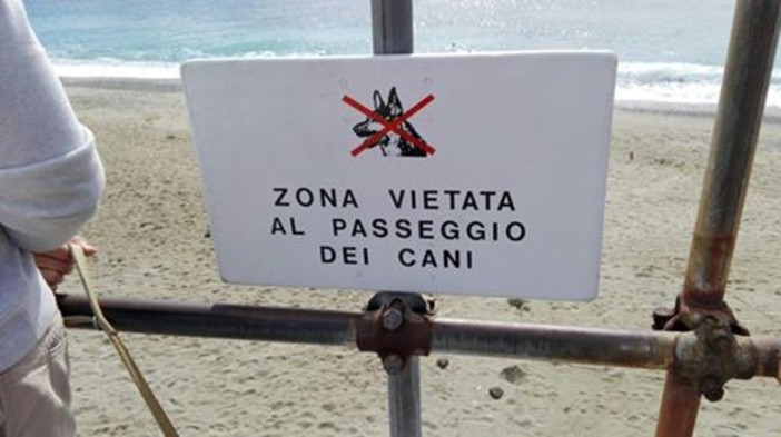 Divieto di passaggio dei cani al Prolungamento di Savona, Enpa: "L'arroganza dell'Autorità Portuale