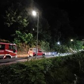 Caduta alberi in via Lavadore a Celle: il Sindaco ordina ai privati di verificare la stabilità e mettere in sicurezza la scarpata