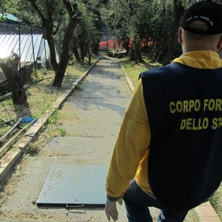 Bloccato dalla Forestale un traffico illegale di tartarughe protette, tutto partiva da Savona