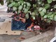 Savona, clochard in via Boselli. La consigliera Saccone (FdI): "Città prigioniera del degrado" Savona, clochard in via Boselli. La consigliera Saccone (FdI): "Città prigioniera del degrado"