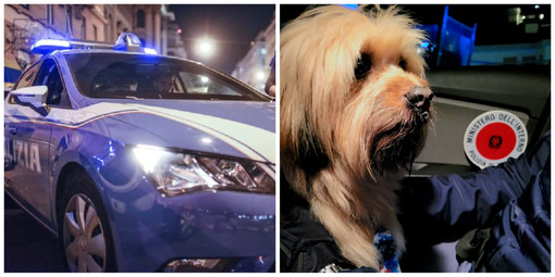 Il piccolo cagnolino Leo si perde, il lieto fine arriva grazie agli agenti della Polizia di Alassio Il piccolo cagnolino Leo si perde, il lieto fine arriva grazie agli agenti della Polizia di Alassio