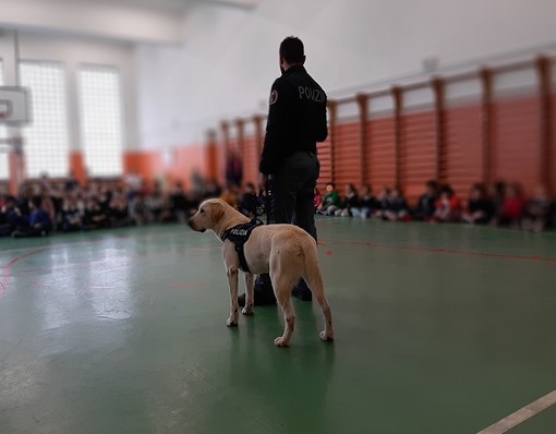 Savona, cani antidroga a scuola: un minorenne trovato in possesso di hashish