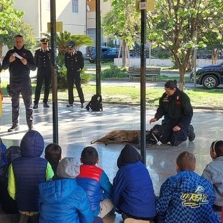 Taggia, gli studenti del Pastonchi a lezione dal cane Cocis del Nucleo Carabinieri Cinofili di Villanova
