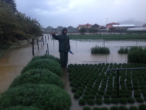 Imu sui terreni Agricoli il secco "NO" dell'Assessore Regionale Paita e della Cia Imu sui terreni Agricoli il secco "NO" dell'Assessore Regionale Paita e della Cia