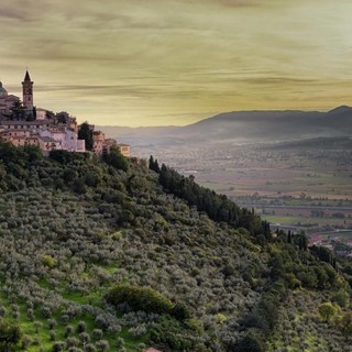 Città dell’olio, in Liguria per un’esperienza  di gusto e cultura con la Camminata tra gli olivi