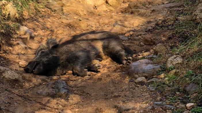 foto tratta da "Sei di Finale Ligure se"