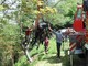 Cengio: spettacolare salvataggio di una cavalla finita nel fiume Cengio: spettacolare salvataggio di una cavalla finita nel fiume