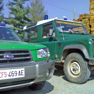 Nel 2021 probabile ripristino del “Corpo Forestale dello Stato”, le parole di auspicio dei Verdi savonesi