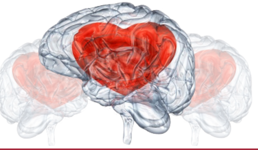 Un grande concerto benefico pro-terremotati in centro ad Albenga