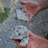 Quiliano, Fersini all'attacco sulle Murate: "Oltre al degrado anche i calcinacci che piovono dai lavori sulla superstrada" Quiliano, Fersini all'attacco sulle Murate: "Oltre al degrado anche i calcinacci che piovono dai lavori sulla superstrada"