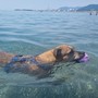 Antò, fa caldo! Dieci consigli (in pillole) per sopravvivere a queste giornate bollenti