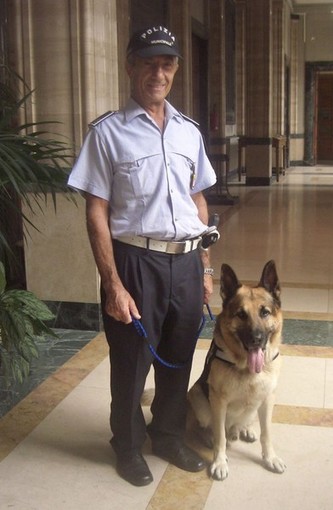 Savona, è morto Buck, il pastore tedesco mascotte dei vigili urbani