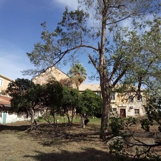 Savona, il maltempo colpisce il convento di San Giacomo: "Danni ingenti"