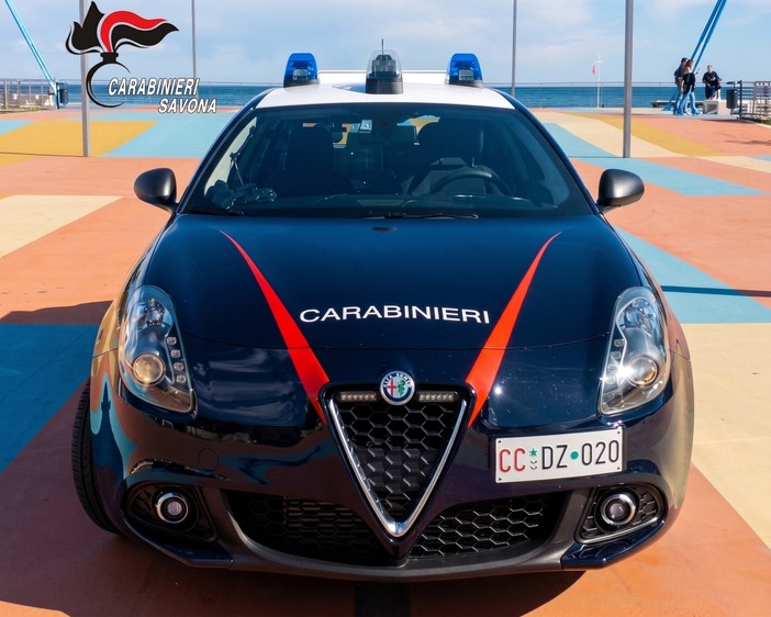Chiede aiuto per la scomparsa di alcuni gatti, ma su di lei pende un mandato internazionale: arrestata Chiede aiuto per la scomparsa di alcuni gatti, ma su di lei pende un mandato internazionale: arrestata