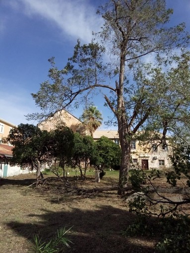 Savona, il maltempo colpisce il convento di San Giacomo: "Danni ingenti"