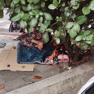 Savona, clochard in via Boselli. La consigliera Saccone (FdI): "Città prigioniera del degrado"