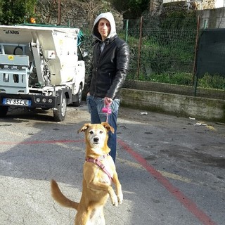 "Esodo" a due e quattro zampe verso il nuovo canile di Finale, Cinzia Amato:"Risultato ottenuto grazie all'aiuto dei nostri sostenitori"