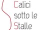 Pallare, Calici sotto le Stalle: il vino di qualità diventa protagonista sabato 4 e domenica 5