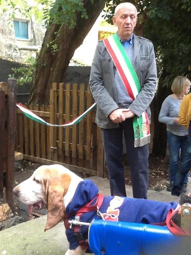 Camillo, il basset hound di Finale Ligure; Camillo, il basset hound di Finale Ligure;