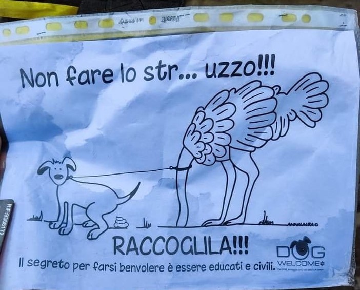 Facebook "Savona E'"