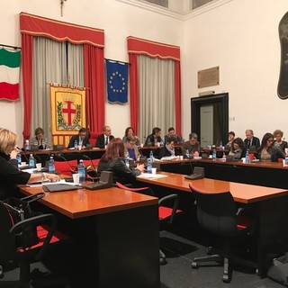 Albenga, mozione presentata dalla minoranza sui pini di via Einaudi: la risposta del vice sindaco Tomatis
