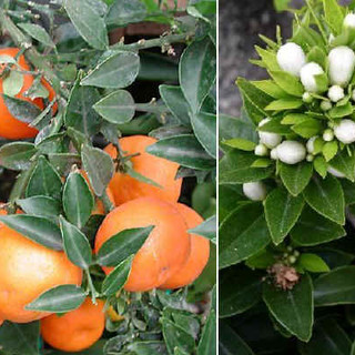 Le eccellenze turistiche e agroalimentari liguri protagoniste su Rete4