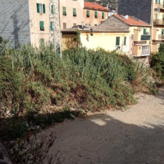 Savona, il Letimbro "erode" le fondamenta di alcuni palazzi a Lavagnola. Assessore Parodi: "Vogliamo coordinare interventi nostri e dei privati, cerchiamo di aiutarli"
