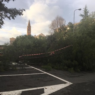 Presentazione campi Estate Liberi a Celle Ligure