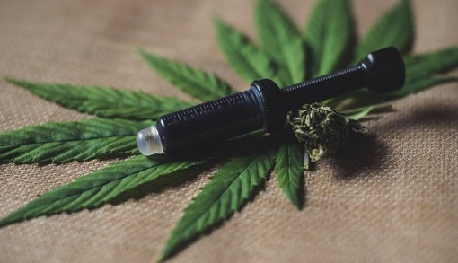 Coltivare la cannabis, l'appello degli addetti ai lavori: "Dateci regole chiare su quel che possiamo fare" Coltivare la cannabis, l'appello degli addetti ai lavori: "Dateci regole chiare su quel che possiamo fare"