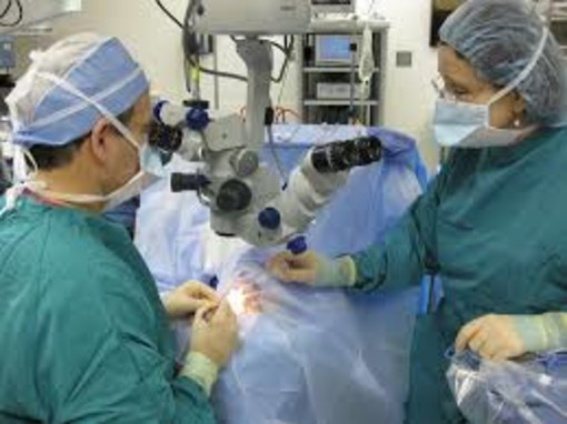 Alassio ospita il convegno sulla chirurgia epatobiliopancreatica Alassio ospita il convegno sulla chirurgia epatobiliopancreatica