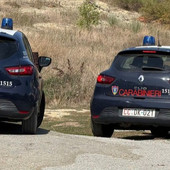 30 cani salvati a Dego, nuovo sopralluogo dei Carabinieri Forestali 30 cani salvati a Dego, nuovo sopralluogo dei Carabinieri Forestali