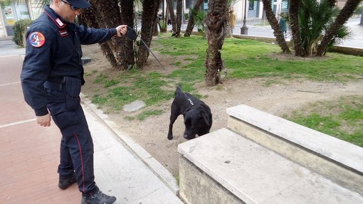 Immagine di repertorio