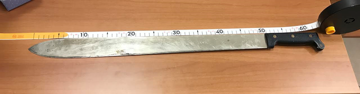 Savona, aggredisce la moglie con un machete: arrestato un 43enne albanese